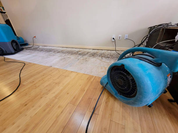 Professional Water Damage Repair technician working in Geneva, NY